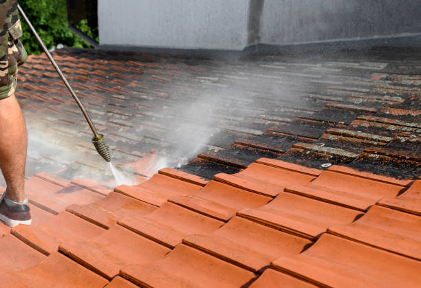 Best Pressure Washing Near Me  in Coldwater, OH
