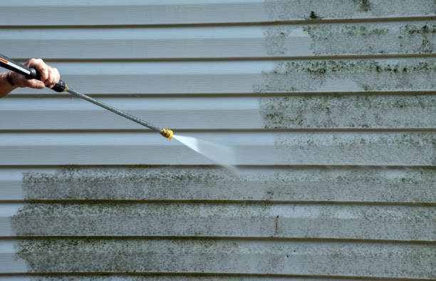 Best Deck Cleaning Services  in Coldwater, OH